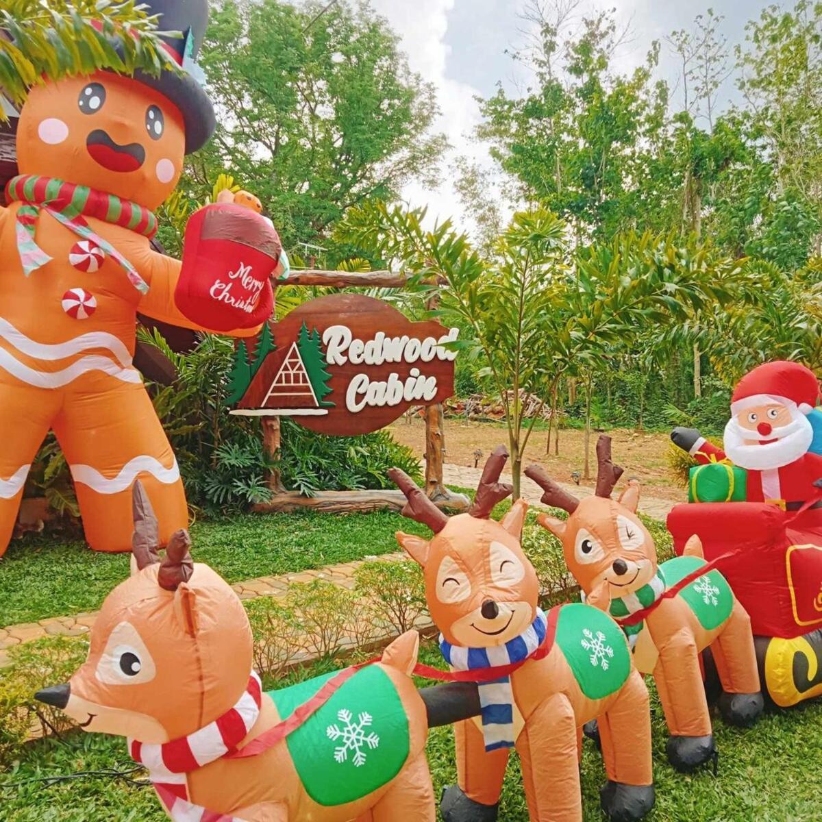 Redwood Cabin 볼리나오 외부 사진